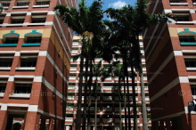 whampoa-road photo thumbnail #6